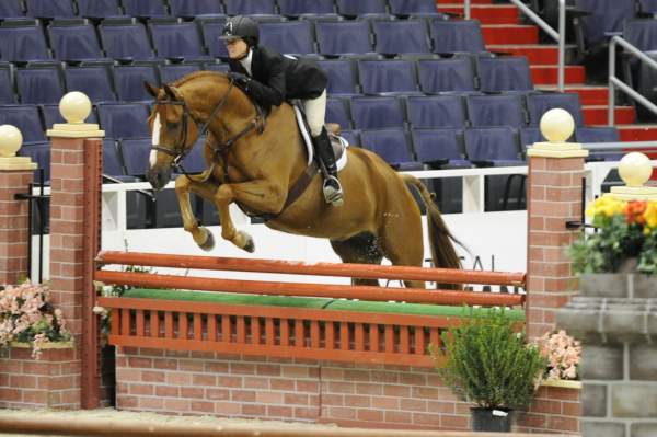 WIHS1-10-26-10-Cl3-GrConfHtr-7619-CoverArt-WinnAlden-DDeRosaPhoto.jpg