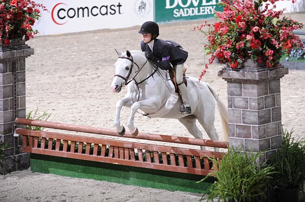 WIHS3-10-31-10-Cl113-MedPnyHtr-9536-ClovercroftHoneyBunny-AliTritschler-DDeRosaPhoto.jpg