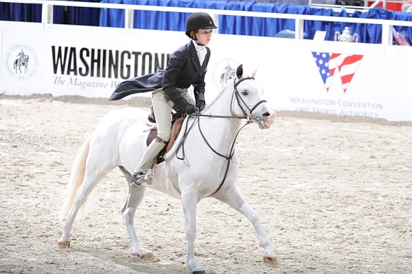 WIHS3-10-31-10-Cl114-MedPnyHtr-9680-ClovercroftHoneyBunny-AliTritschler-DDeRosaPhoto.jpg