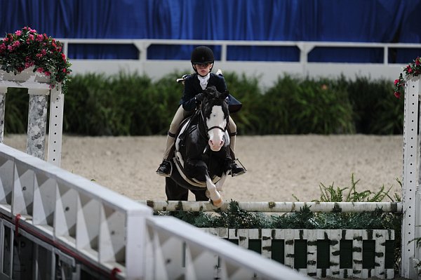 WIHS3-10-31-10-9241-Zorro-SarahCliftonYandell-DDeRosaPhoto.jpg