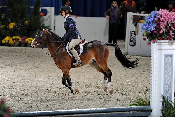 WIHS3-10-31-10-Cl103-SmPnyHtr-9209-DDeRosaPhoto.jpg