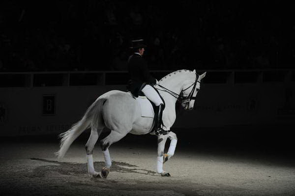 WIHS2-10-29-10-6411-PamGoodrich-Lamborghini-DDeRosaPhoto.JPG