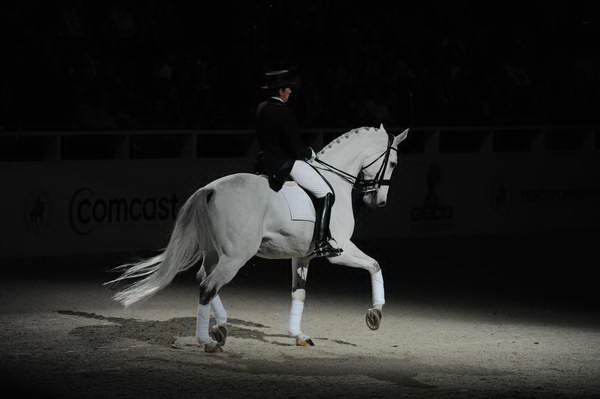 WIHS2-10-29-10-6412-PamGoodrich-Lamborghini-DDeRosaPhoto.JPG