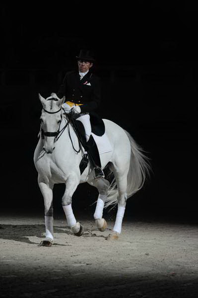 WIHS2-10-29-10-6432-PamGoodrich-Lamborghini-DDeRosaPhoto.JPG