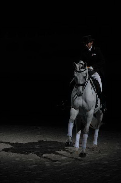 WIHS2-10-29-10-6451-PamGoodrich-Lamborghini-DDeRosaPhoto.JPG