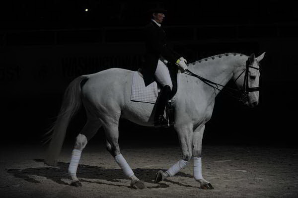 WIHS2-10-29-10-6456-PamGoodrich-Lamborghini-DDeRosaPhoto.JPG