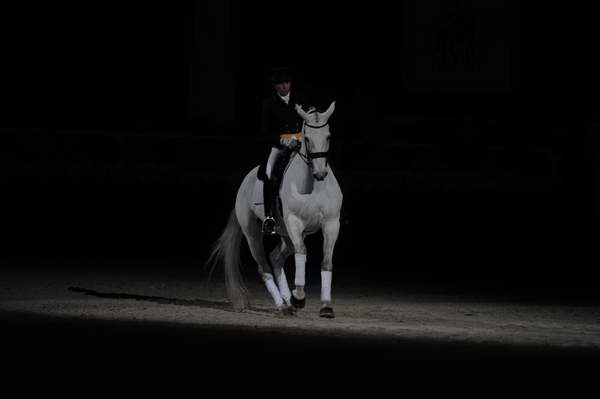 WIHS2-10-29-10-6465-PamGoodrich-Lamborghini-DDeRosaPhoto.JPG