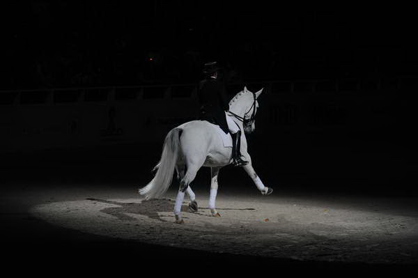 WIHS2-10-29-10-6529-PamGoodrich-Lamborghini-DDeRosaPhoto.JPG