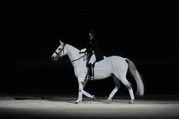 WIHS2-10-29-10-6535-PamGoodrich-Lamborghini-DDeRosaPhoto.JPG