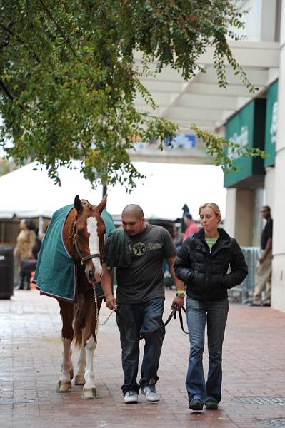 WIHS2-2010-WEG_0629-DDeRosaPhoto.jpg