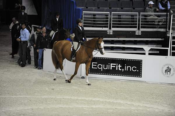 WIHS-10-22-09-DSC_3970-Confidential-HasbrouckDonovan-SmJrHtr15U-Sponsors-EquFit-DDeRosaPhoto.jpg