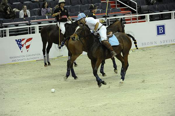 WIHS2-10-27-10-MilitaryPolo-2102-DDeRosaPhoto.jpg