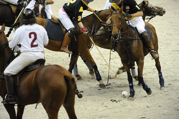 WIHS2-10-27-10-MilitaryPolo-2126-DDeRosaPhoto.jpg
