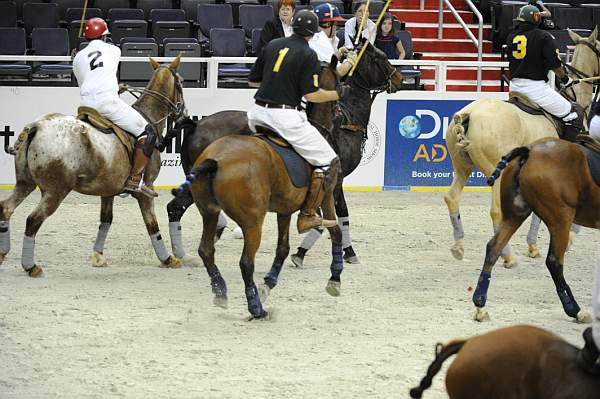 WIHS2-10-27-10-MilitaryPolo-2145-DDeRosaPhoto.jpg