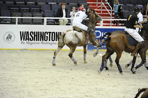 WIHS2-10-27-10-MilitaryPolo-2146-DDeRosaPhoto.jpg