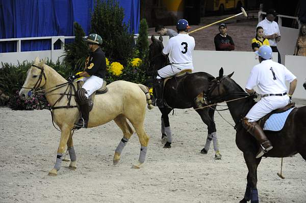 WIHS2-10-27-10-MilitaryPolo-2168-DDeRosaPhoto.jpg