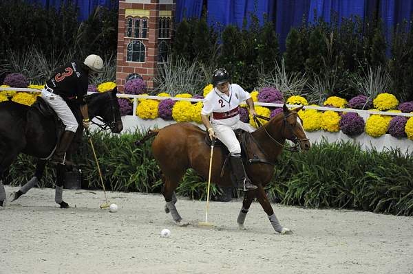 WIHS2-10-27-10-MilitaryPolo-2178-DDeRosaPhoto.jpg