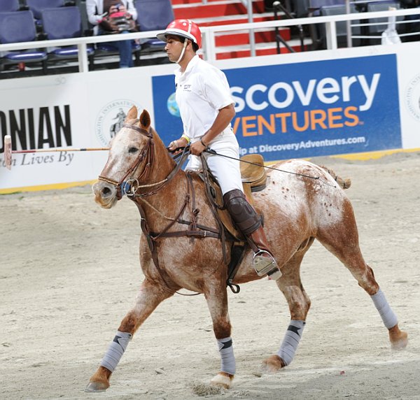 Discovery-WIHS2-10-27-10-MilitaryPolo-2095-DDeRosaPhoto.jpg