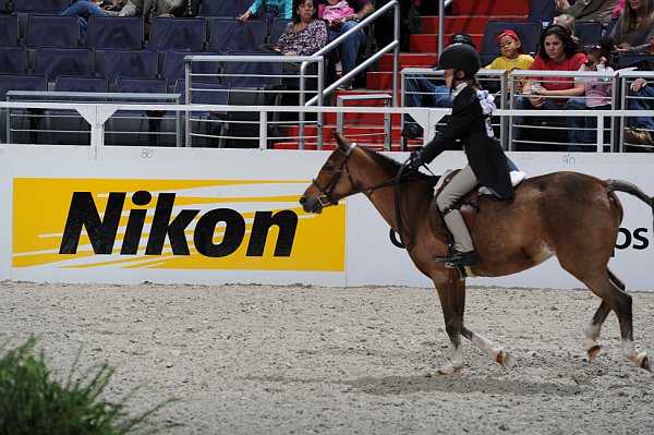 WIHS3-10-31-10-Cl193-LocHtrFinals-Pny-0246-TantallenSpecialEdition-ElizabethCarter-DDeRosaPhoto.jpg