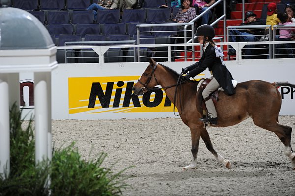 WIHS3-10-31-10-Cl193-LocHtrFinals-Pny-0251-TantallenSpecialEdition-ElizabethCarter-DDeRosaPhoto.jpg