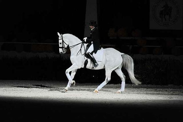 Dressage-WIHS2-10-29-10-6497-PamGoodrich-Lamborghini-DDeRosaPhoto-2.jpg