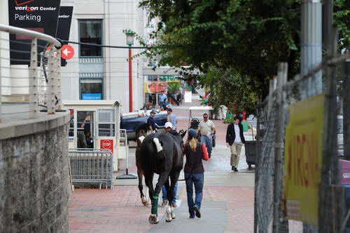 WIHS2-2010-WEG_0621-DDeRosaPhoto.jpg