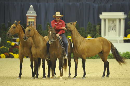 Australian-WIHS4-10-29-11-4028-DDeRosaPhoto