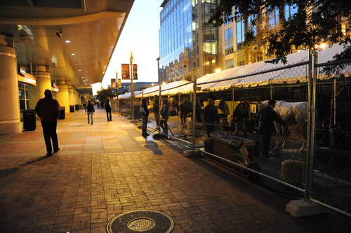 Outside-WIHS1-10-25-11-6173-DDeRosaPhoto