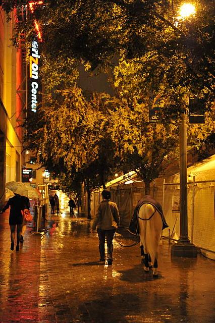 Outside-WIHS5-10-29-11-4710-DDeRosaPhoto