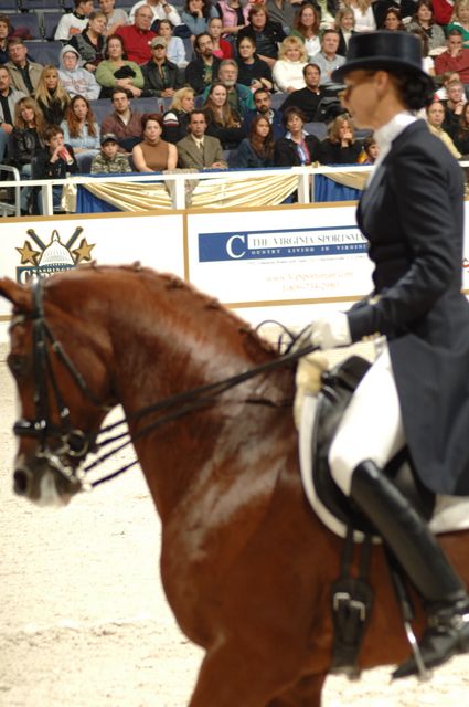 06-WIHS-HeatherBlitz-10-28-05-Dressage-DDPhoto.JPG