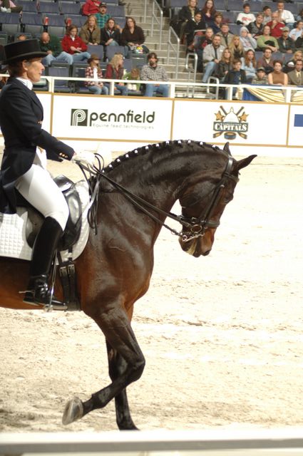 17-WIHS-CathyMorelli-10-28-05-Dressage-DDPhoto.JPG