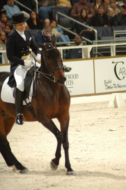 23-WIHS-CathyMorelli-10-28-05-Dressage-DDPhoto.JPG