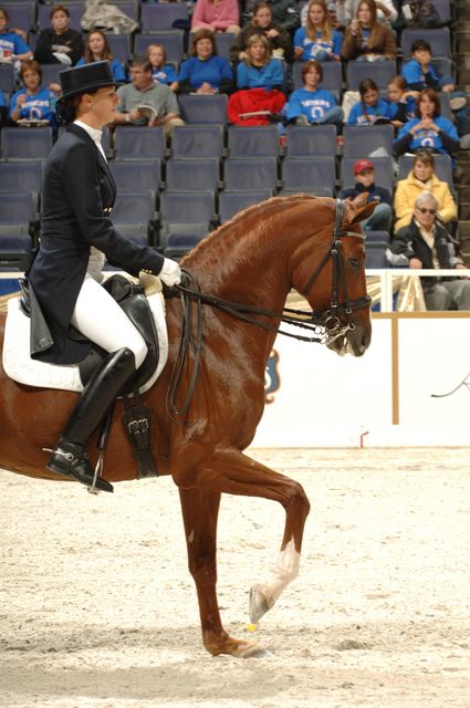 43-WIHS-HeatherBlitz-Arabella-Dressage-DDPhoto.JPG