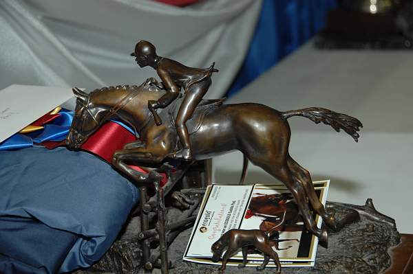 WIHS08-12-25-Awards-005-DDeRosaPhoto