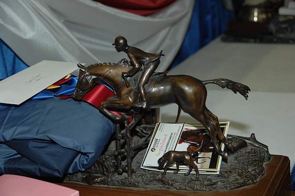 WIHS08-12-25-Awards-006-DDeRosaPhoto