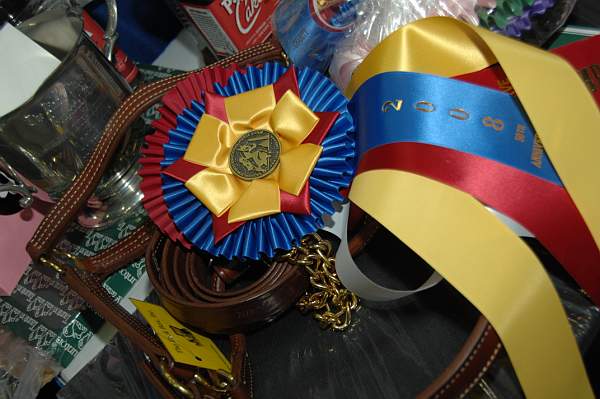 WIHS08-12-25-Awards-010-DDeRosaPhoto