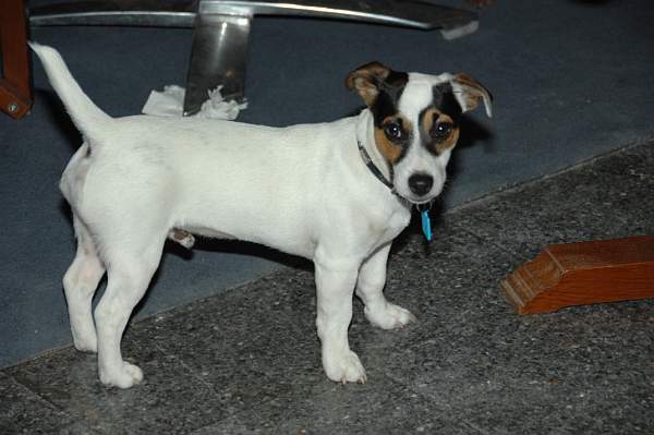 WIHS08-10-25-Boutiques-044-DDeRosaPhoto