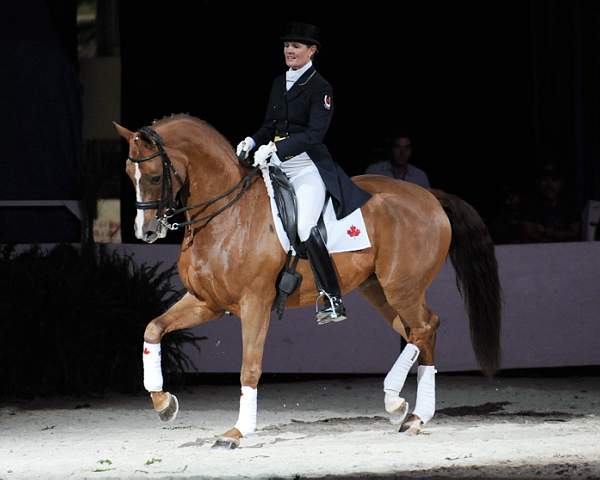 WIHS-10-25-09-DSC_3950-AshleyHolzer-PopArt-Dressage-DDeRosaPhoto.jpg