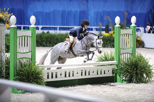 WIHS-10-24-09-DER_7900-BrownlandsMrMack-MeredithDarst-Ponies-DDeRosaPhoto.jpg