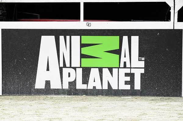 AnimalPlanet-10-24-10-DSC_0554-Sponsor-DDeRosaPhoto.jpg