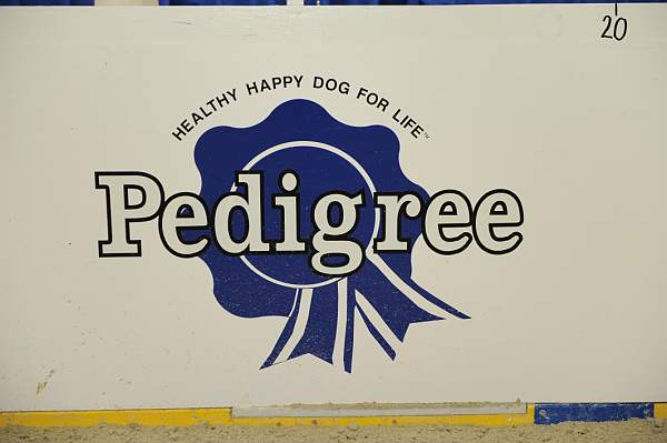 Pedigree-DER_5340-DDeRosaPhoto.jpg