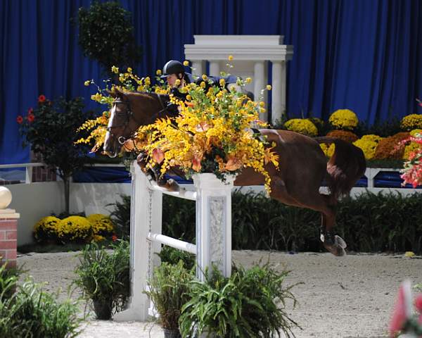 McLainWard-Sapphire-DSC_2801-DDeRosaPhoto.jpg