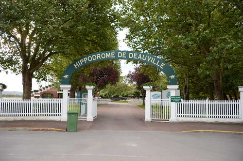 Alltech-WEG-10-10-13-5386-DDeRosaPhoto