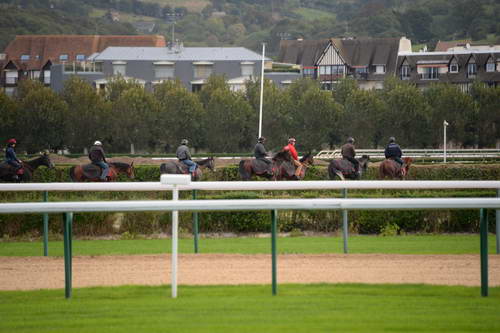 Alltech-WEG-10-10-13-5400-DDeRosaPhoto