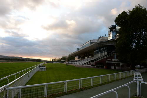 Alltech-WEG-10-10-13-5405-DDeRosaPhoto