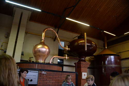 Alltech-WEG-10-10-13-5448-DDeRosaPhoto