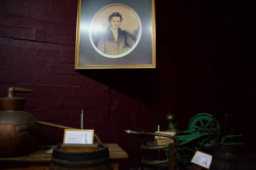 Alltech-WEG-10-10-13-5475-DDeRosaPhoto