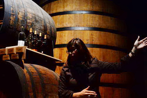 Alltech-WEG-10-10-13-5484-DDeRosaPhoto