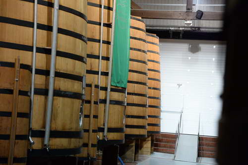 Alltech-WEG-10-10-13-5485-DDeRosaPhoto