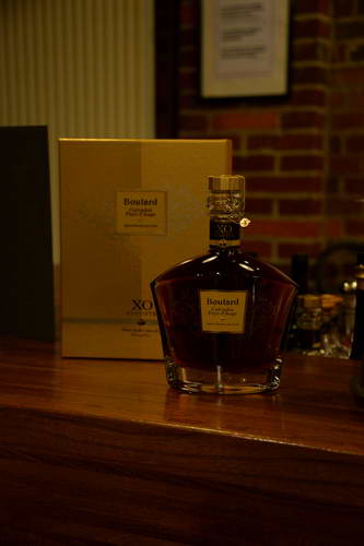 Alltech-WEG-10-10-13-5501-DDeRosaPhoto